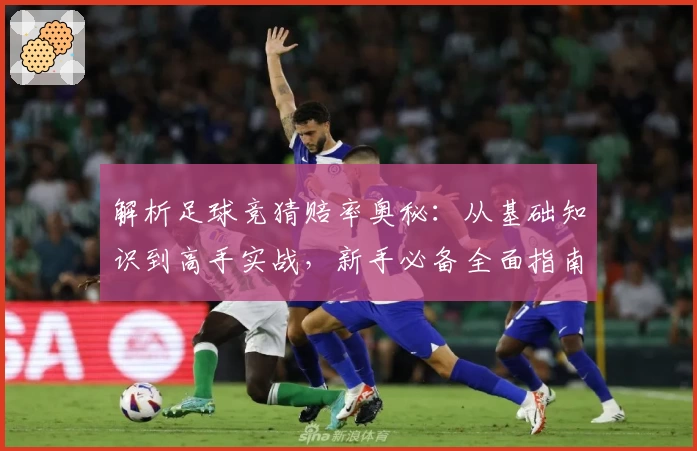 解析足球竞猜赔率奥秘：从基础知识到高手实战，新手必备全面指南