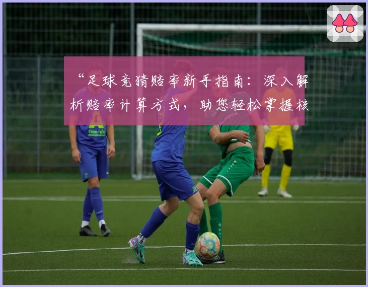 “足球竞猜赔率新手指南：深入解析赔率计算方式，助您轻松掌握核心技巧”